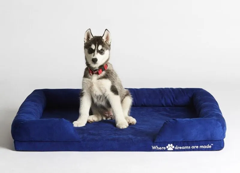 Dog-Bed