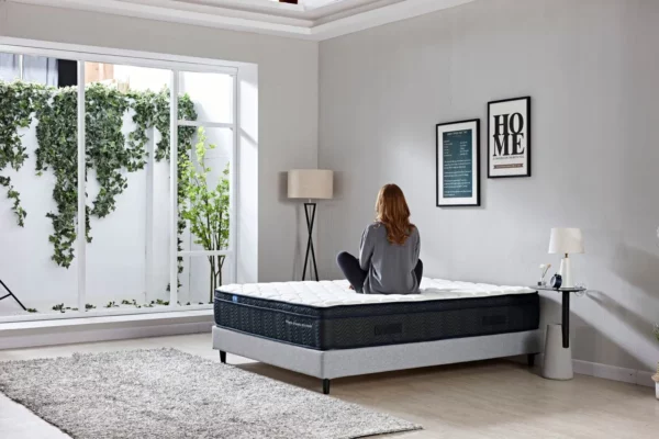 Sleep Republic Mattress New Image