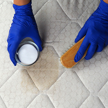 Hands wearing bright blue gloves cleaning a mattress stain with baking soda and a brush